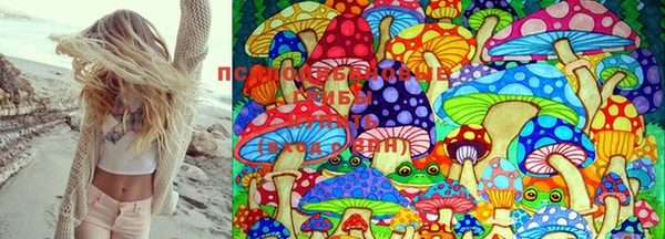 MDMA Premium VHQ Дмитровск