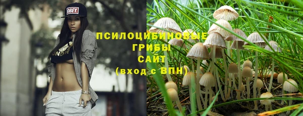 прущая мука Гусь-Хрустальный