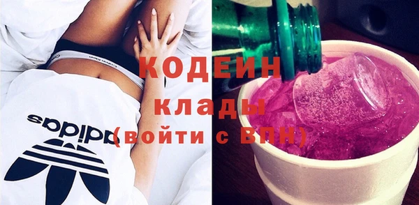 хмурый Гусев