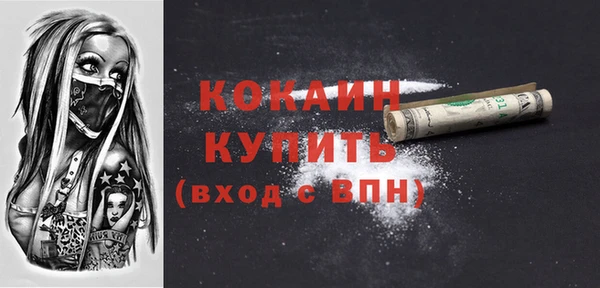 хмурый Гусев