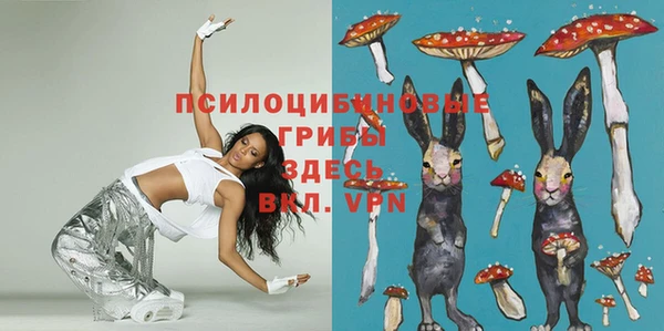 прущие грибы Горняк