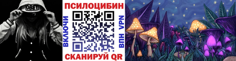 блэк спрут ссылка  Новая Ладога  Псилоцибиновые грибы Psilocybe 