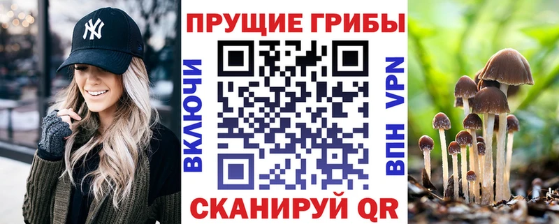 Галлюциногенные грибы прущие грибы Новая Ладога