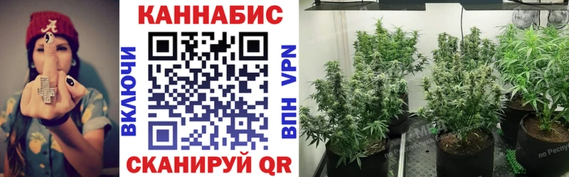Каннабис марихуана  Новая Ладога 